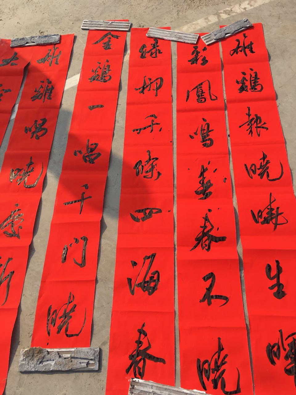 1485169642864071.jpg 10.jpg